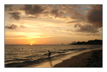 Fototapeta premium salines martinique coucher de soleil