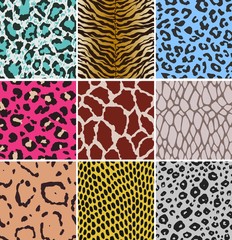animal skin seamless pattern - 43022600
