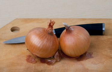 Onion bulb