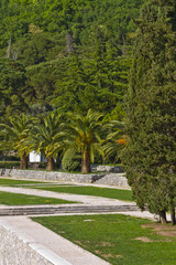 Obraz premium Beautiful park next Sveti Stefan - islet and Luxury hotel resort