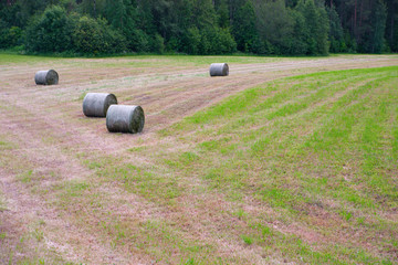Rural landscape with hay bales