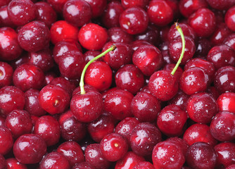 Cherry