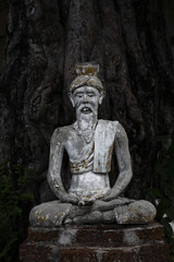 hermit meditating under tree
