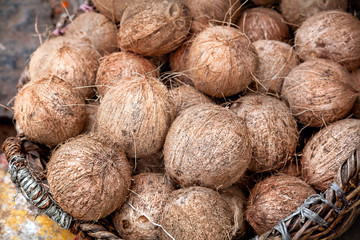Coconuts at Indian market