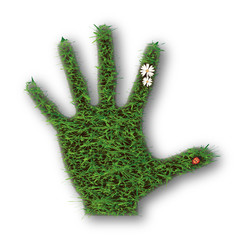 Green Grass Hand