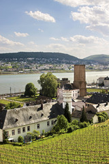 Fototapete bei efototapeten.de bestellen   