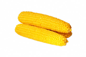corn cobs
