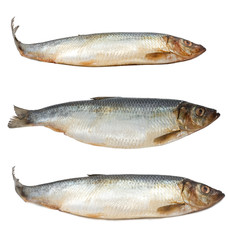 Raw herring food background close up.