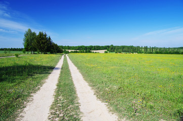 field