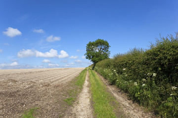 chalk landscape