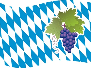 Foto op Plexiglas Wein auf bayerischer Flagge © SistaX