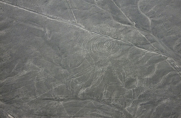 La scimmia delle linee di Nazca