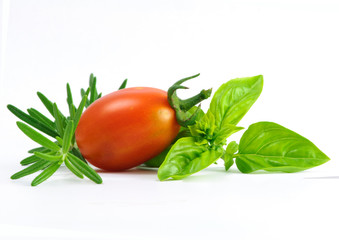 rosemary tomato basilicum