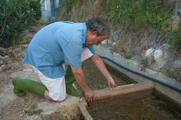 Traditional agriculture