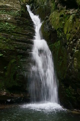 Fototapeta premium Waterfall in Forest