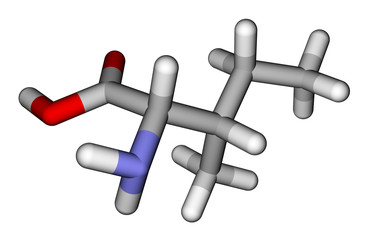 Essential amino acid isoleucine 3D molecular model