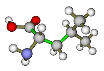 Essential amino acid leucine molecular structure