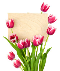 Beautiful Tulips and Empty Sign for message / wooden panel / iso