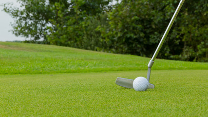 Golf ball on front of a driver