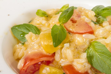 photo of delicious risotto dish with herbs and tomato on white b