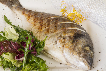 Dorada fish with salad on the white plate. Studio shot