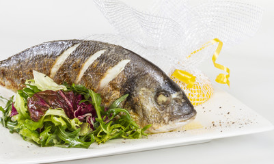 Dorada fish with salad on the white plate. Studio shot