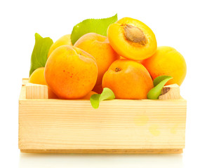 ripe apricots with green leaves in wooden box isolated on white