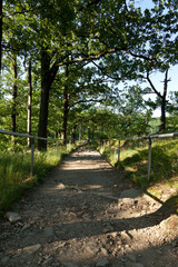 Wanderweg zur Roßtrappe