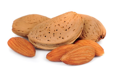 Almonds nuts