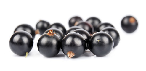 Black currant