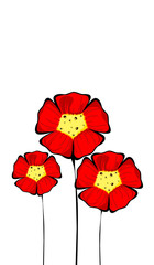 Three isolated colorful red flowers