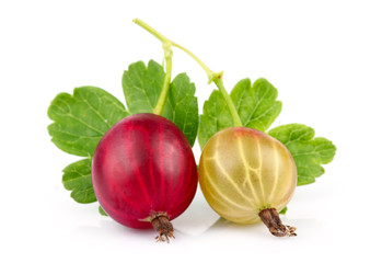 Two red and yellow gooseberries with green leaves isolated