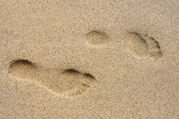 Footprints in the Sand