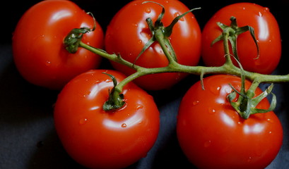 Tomaten