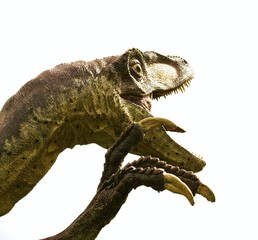 Dinosaurier - Angriff