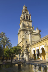 Fototapeta na wymiar Belfry of the mosque of Cordoba - Spain