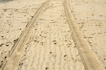 Tracks in the Sand 2