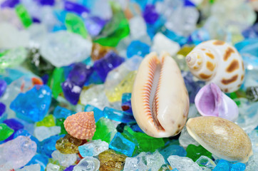 貝殻と色つきガラス