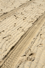 Tracks in the sand