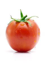 Fresh Wet Tomato