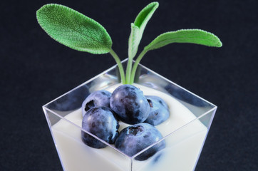 Crema di yogurt alla salvia con mirtilli
