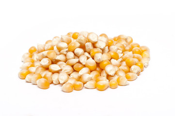 Popcorn Seeds