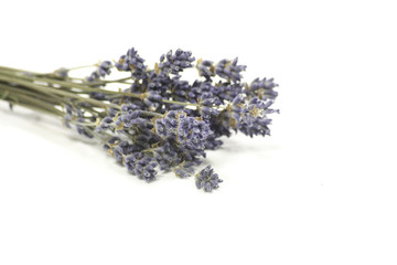 lavande