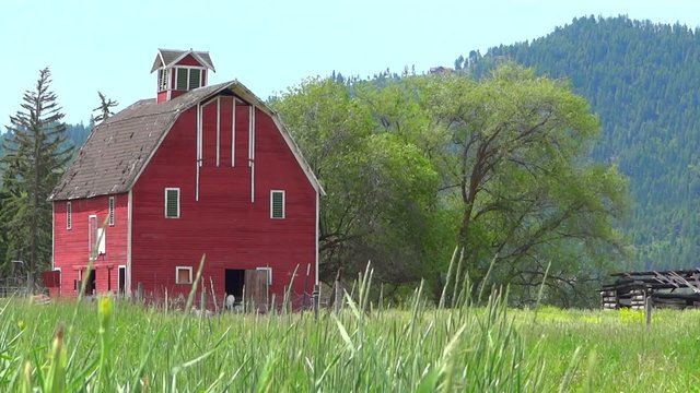 Red Barn in Field