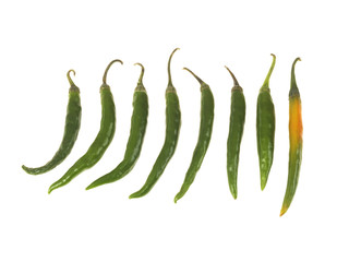 Fresh Green Chillies
