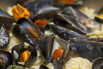 Seafood fussili pasta close-up