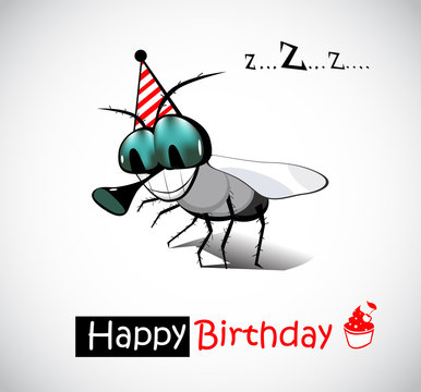 Happy Birthday fly