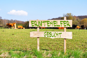 Erntehelfer gesucht