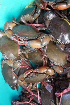 Krabben