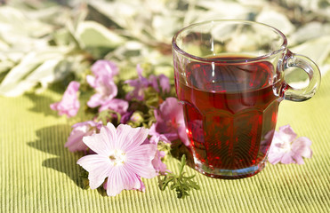 Malventee, mallow tea